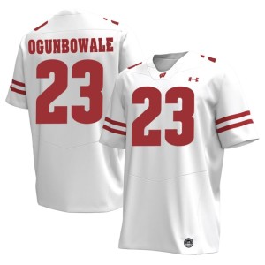 Dare Ogunbowale Official #23 White Men's Wisconsin Jerseys 768662-786