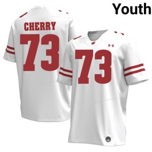 Blake Cherry Wisconsin #73 Embroidery Youth White Jerseys 861139-296